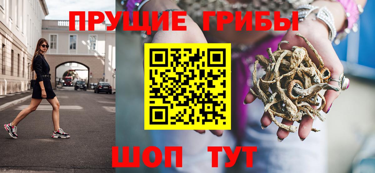 Псилоцибиновые грибы Psilocybe Верхняя Пышма