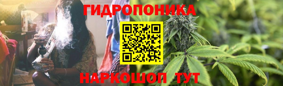 Верхняя Пышма  Шишки марихуана планчик  Вход с VPN  Марихуана гибрид 